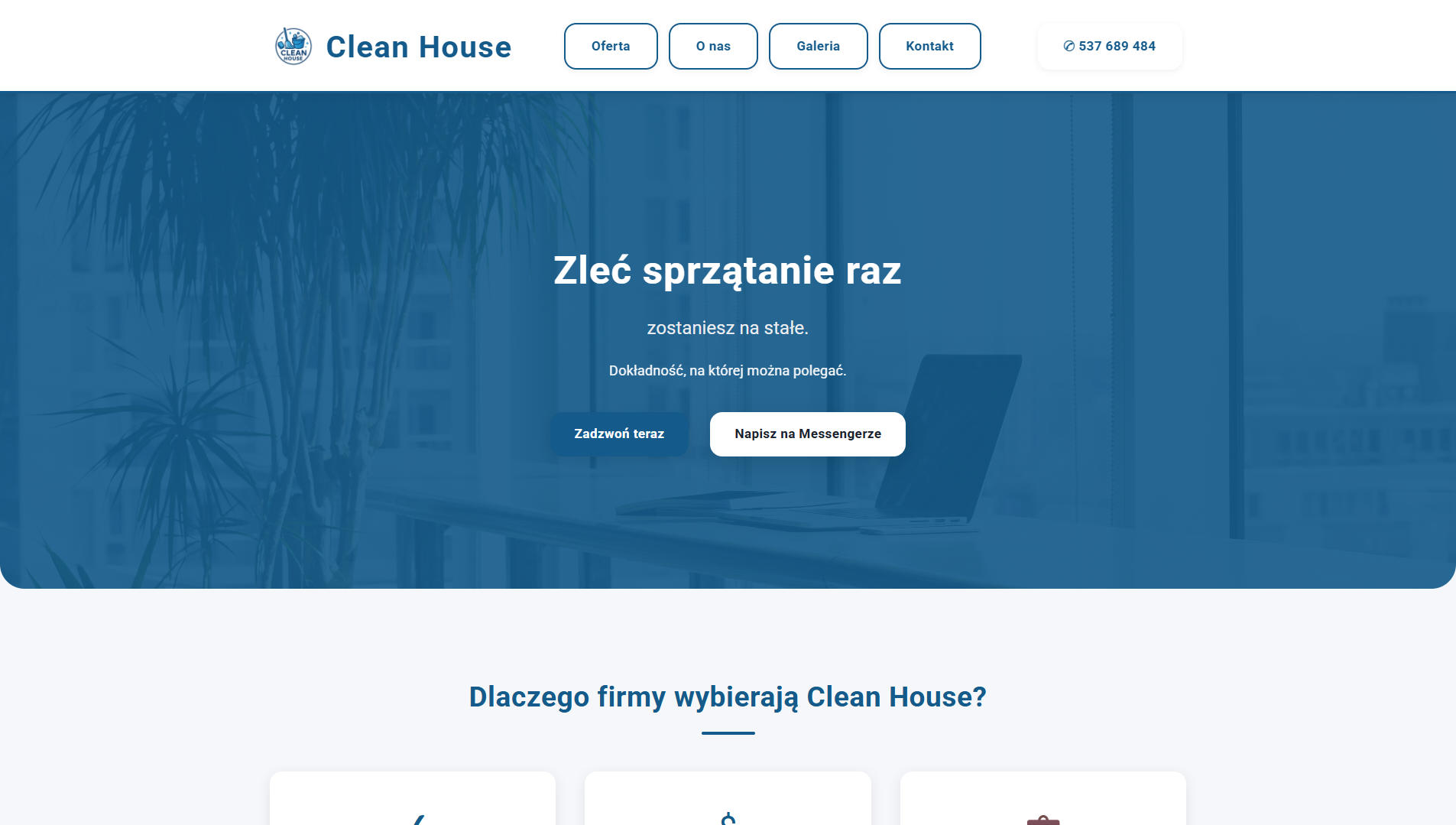 CleanHouse - widok strony